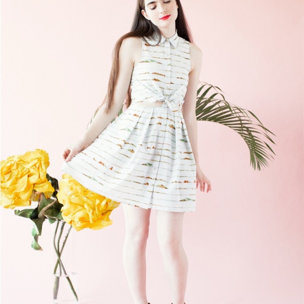 Samantha Pleet mountain print mini Dress from 2014 cut out collar vintage sezane - Picture 2 of 10